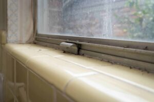 Hillery NW 525 Before 44